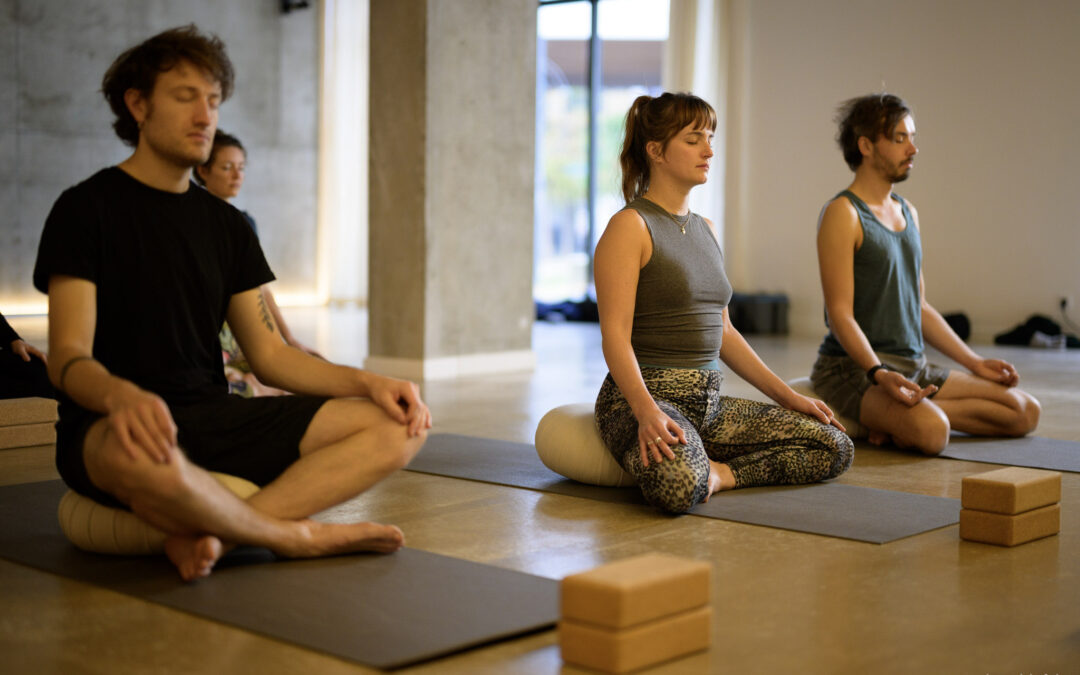 Méditation et gestion du stress au chalet Zenspace Élèves méditant durant une formation de méditation et gestion du stress au chalet Zenspace.